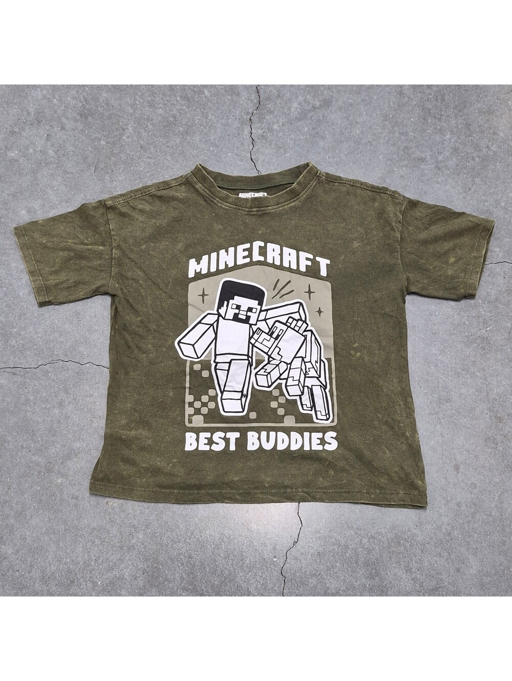 Minecraft Best Buddies Boys T Shirt